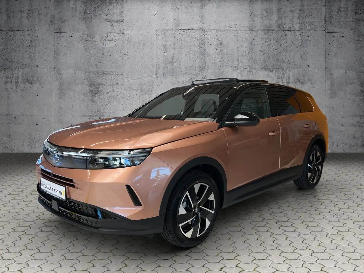 Opel Grandland X Grandland GS AHZV, PIXEL-LED, GLASDACH, HEAD-UP Bruin - 1