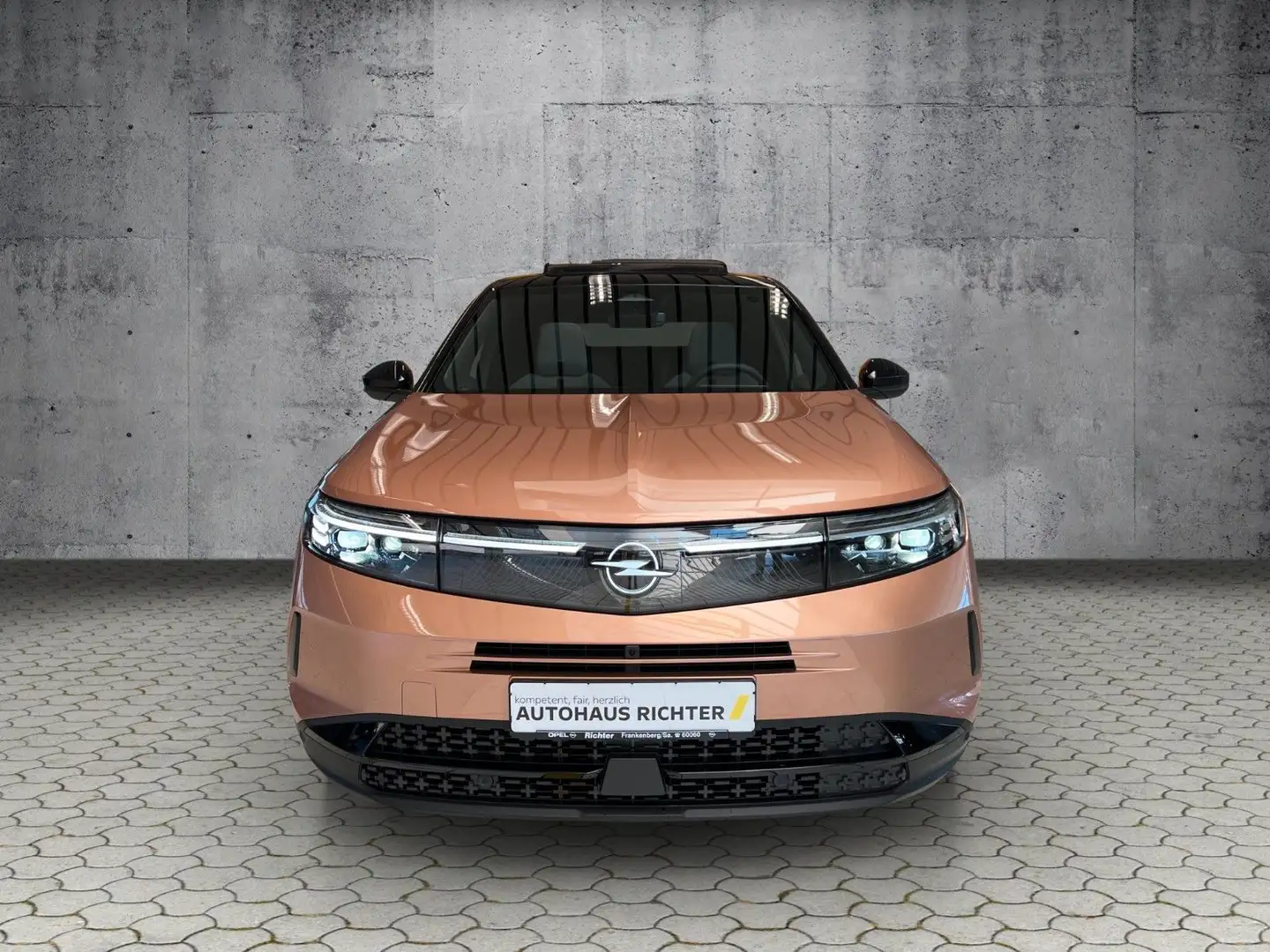 Opel Grandland X Grandland GS AHZV, PIXEL-LED, GLASDACH, HEAD-UP Bruin - 2