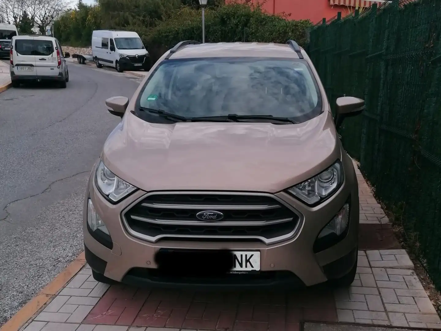 Ford EcoSport 1.0 EcoBoost Trend Aut. 125 Bronce - 1