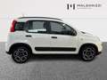 Fiat New Panda 1.0 FireFly Hybrid City Life Blanc - thumbnail 5