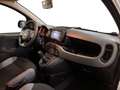 Fiat New Panda 1.0 FireFly Hybrid City Life Blanc - thumbnail 9