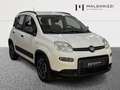 Fiat New Panda 1.0 FireFly Hybrid City Life Blanc - thumbnail 1