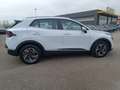 Kia Sportage 1.6 CRDi MHEV DCT Business Bianco - thumbnail 5