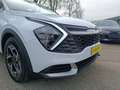 Kia Sportage 1.6 CRDi MHEV DCT Business Bianco - thumbnail 3
