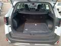 Kia Sportage 1.6 CRDi MHEV DCT Business Bianco - thumbnail 27
