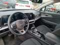 Kia Sportage 1.6 CRDi MHEV DCT Business Bianco - thumbnail 14