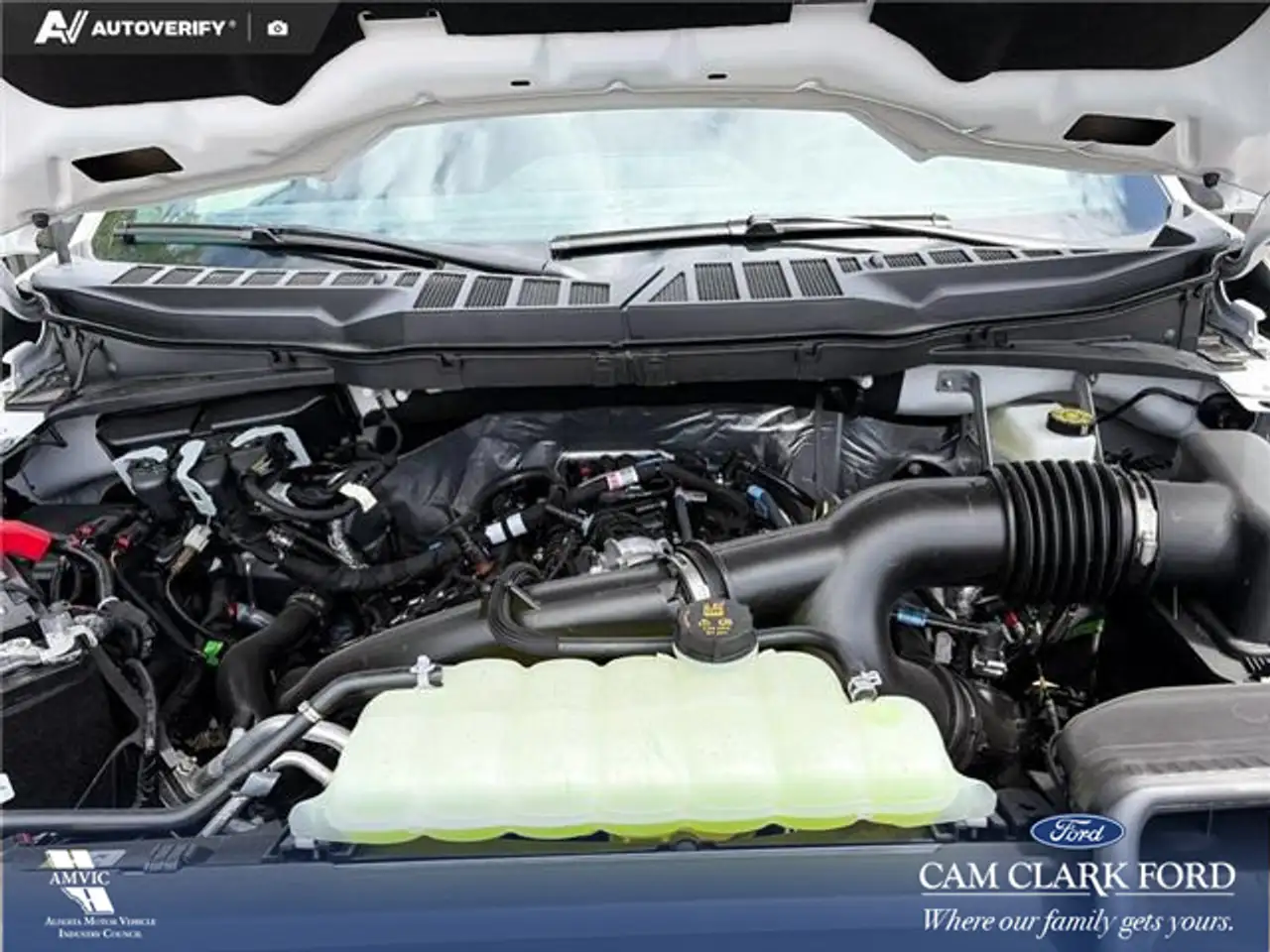 Ford F 150 photo Ford F 150
