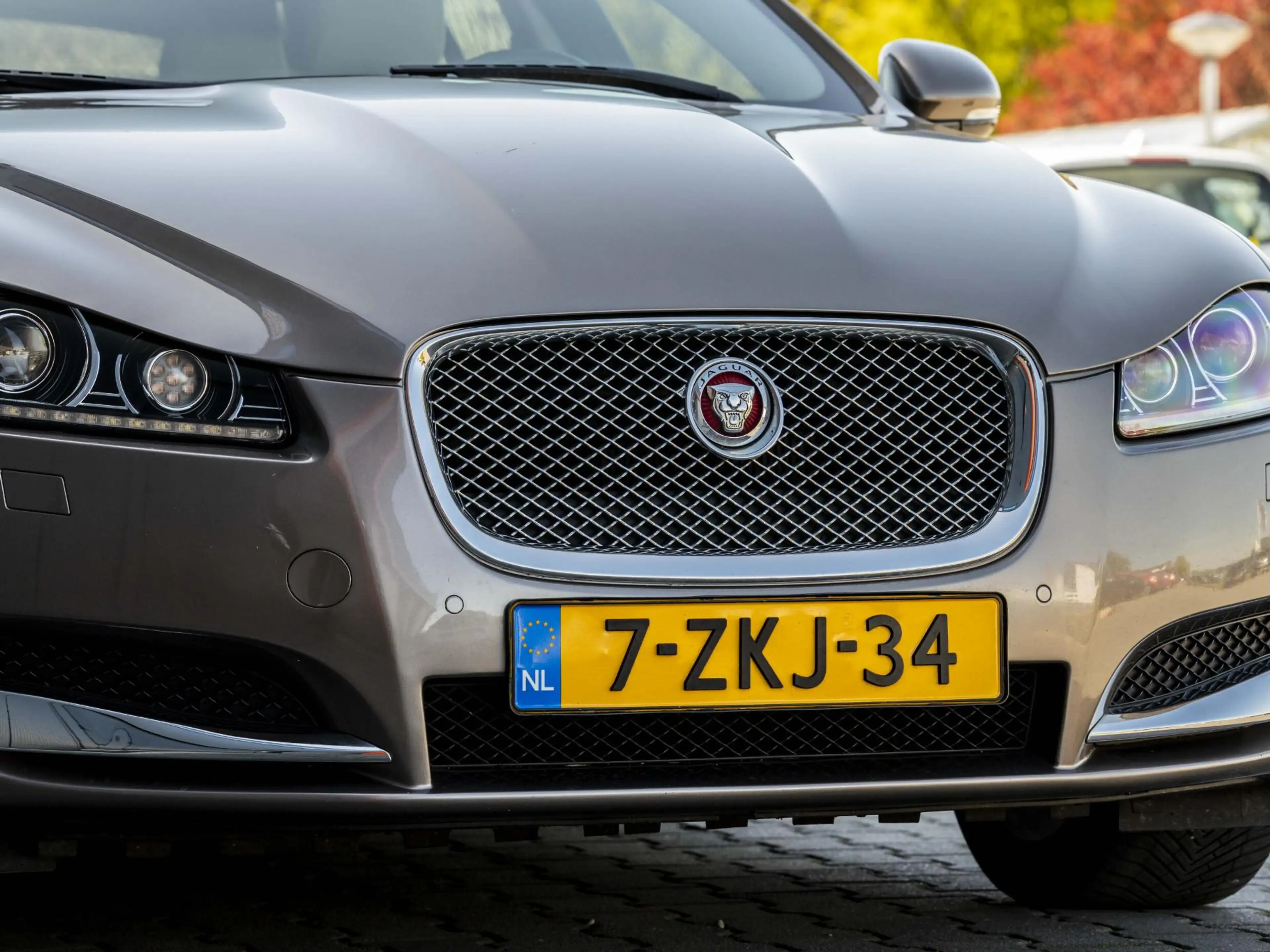 Jaguar XF Sportbrake 3.0D Stoelverwarming/koeling, trekhaak, — photo 14