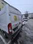 Fiat Ducato GR-Panorama 33 L2H2 115 Multijet Weiß - thumbnail 4