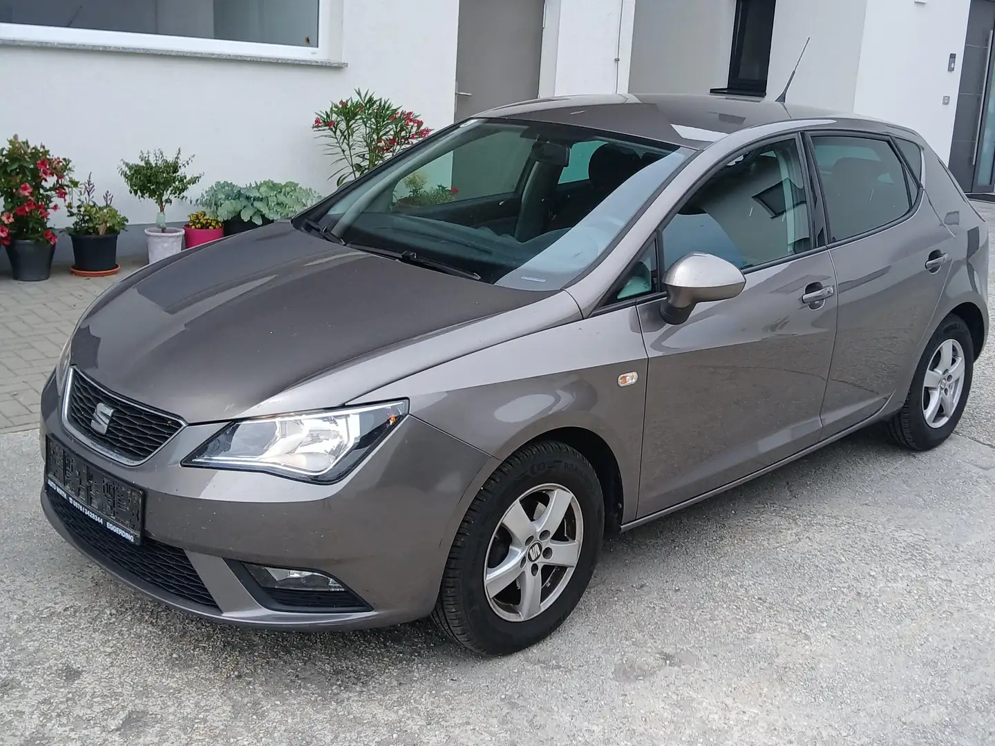 SEAT Ibiza Stylance / Style Grau - 1
