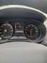SEAT Ibiza Stylance / Style Grau - thumbnail 5