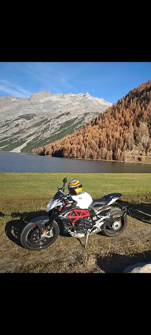 MV Agusta Brutale 800 White perla carbonio Bianco - 1