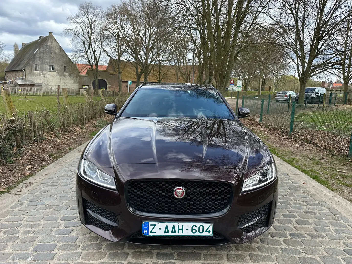 Jaguar XF Sportbrake 2.0 D AWD R-Sport (EU6.2) Paars - 2