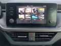 Skoda Scala Ambition Clever 1.0 TSI LED Clever Blau - thumbnail 16