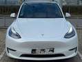 Tesla Model Y Tesla Model Y LR AWD | 2023 | 20" | TÜV 12/2025 Weiß - thumbnail 3