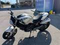 Ducati Monster 696 Blanco - thumbnail 2