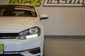Volkswagen Golf VII 1.0 TSI "SITZH*NAVI*PDC" Weiß - thumbnail 10