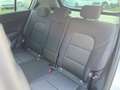 Kia Sportage 1.6 CRDI 136 CV DCT7 2WD Mild Hybrid Style Weiß - thumbnail 26