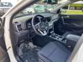Kia Sportage 1.6 CRDI 136 CV DCT7 2WD Mild Hybrid Style Bianco - thumbnail 10