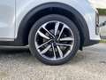 Kia Sportage 1.6 CRDI 136 CV DCT7 2WD Mild Hybrid Style Bianco - thumbnail 9