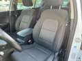 Kia Sportage 1.6 CRDI 136 CV DCT7 2WD Mild Hybrid Style Weiß - thumbnail 24