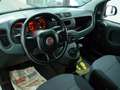 Fiat Panda 1.2 69 CV VAN AUTOCARRO 2 POSTI Bianco - thumbnail 12