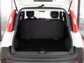 Fiat Panda 1.2 69 CV VAN AUTOCARRO 2 POSTI Bianco - thumbnail 8