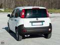 Fiat Panda 1.2 69 CV VAN AUTOCARRO 2 POSTI Bianco - thumbnail 4