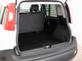 Fiat Panda 1.2 69 CV VAN AUTOCARRO 2 POSTI Bianco - thumbnail 10