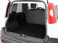Fiat Panda 1.2 69 CV VAN AUTOCARRO 2 POSTI Bianco - thumbnail 9