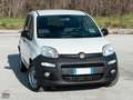 Fiat Panda 1.2 69 CV VAN AUTOCARRO 2 POSTI Bianco - thumbnail 14