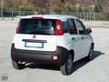 Fiat Panda 1.2 69 CV VAN AUTOCARRO 2 POSTI Bianco - thumbnail 6