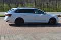 Skoda Superb Kombi 2,0 TDI+NAVI+XENON+Kamera+SHZ Weiß - thumbnail 6