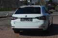 Skoda Superb Kombi 2,0 TDI+NAVI+XENON+Kamera+SHZ Weiß - thumbnail 5