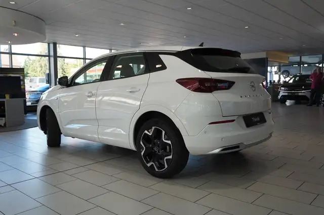 Opel Grandland X view 10