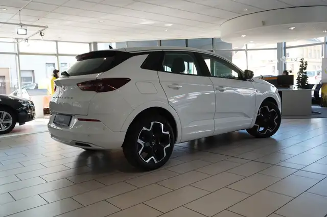 Opel Grandland X view 9