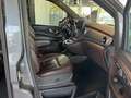 Mercedes-Benz V 250 Avantgarde Edition 4 Matic Nappa Distronic Gris - thumbnail 14