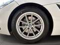BMW Z4 sDrive20i Sitzheizung DAB Lichtpaket Active Guard Bianco - thumbnail 2