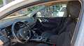 Renault Kadjar dCi 8V 110CV EDC Energy Business AUTOCARRO N1 Weiß - thumbnail 7