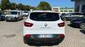 Renault Kadjar dCi 8V 110CV EDC Energy Business AUTOCARRO N1 Weiß - thumbnail 4