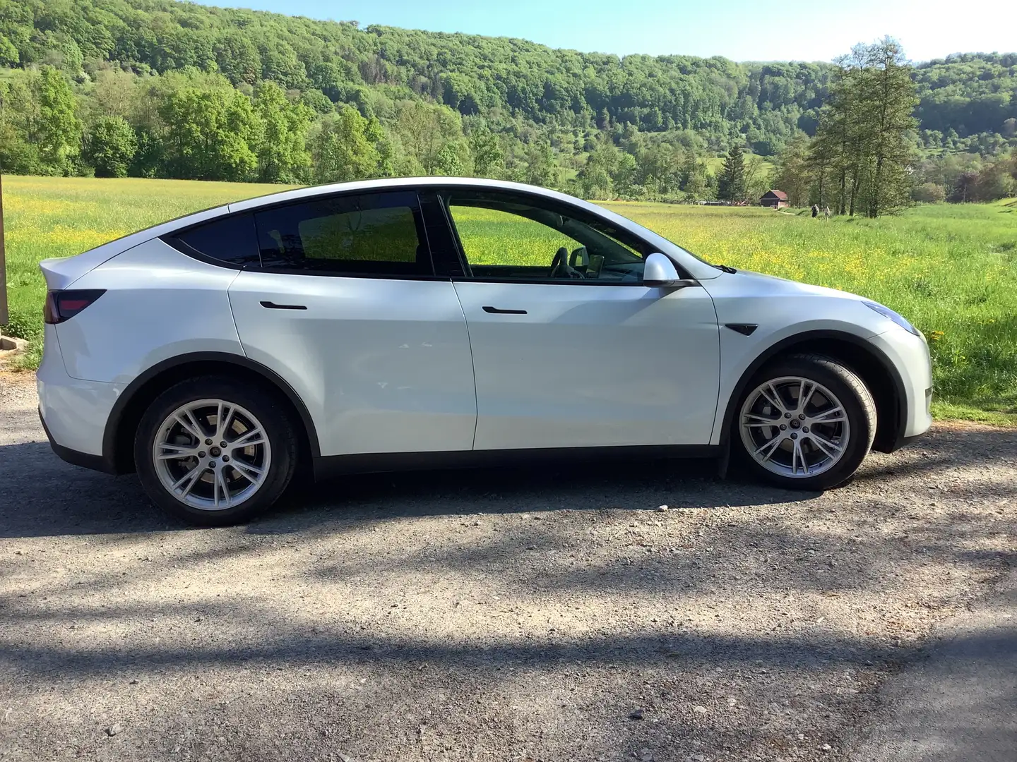 Tesla Model Y Dual Weiß - 2