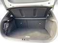 Kia Ceed / cee'd Spirit 1.5 T-GDI DCT7 Kamera SitzHzg. CarPlay Bianco - thumbnail 12