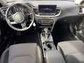 Kia Ceed / cee'd Spirit 1.5 T-GDI DCT7 Kamera SitzHzg. CarPlay Bianco - thumbnail 8