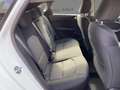Kia Ceed / cee'd Spirit 1.5 T-GDI DCT7 Kamera SitzHzg. CarPlay Bianco - thumbnail 11