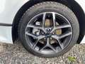 Kia Ceed / cee'd Spirit 1.5 T-GDI DCT7 Kamera SitzHzg. CarPlay Bianco - thumbnail 7