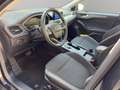 Ford Focus SW 1.5 EcoBlue 120 CV automatico Business Nero - thumbnail 10