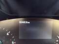 Ford Focus SW 1.5 EcoBlue 120 CV automatico Business Nero - thumbnail 14