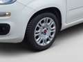 Fiat Panda MY21 FireFly Hybrid 70 Weiß - thumbnail 8