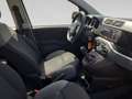 Fiat Panda MY21 FireFly Hybrid 70 Weiß - thumbnail 21