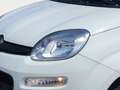 Fiat Panda MY21 FireFly Hybrid 70 Weiß - thumbnail 7